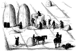 Vruchtwisseling: roggegras dorsen voor zaad, 1855 door Unbekannt