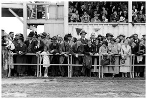 Menigte bij de races, c1920-1939 door Unbekannt