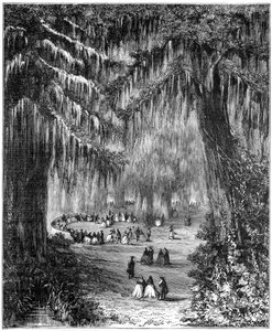 Cipressenbos bij Chapultepec, Mexico-Stad, 1877