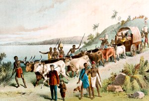 David Livingstone, Schotse missionaris en Afrikaanse ontdekkingsreiziger