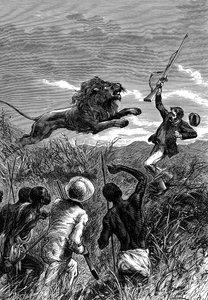 David Livingstone, Schotse missionaris en Afrikaanse ontdekkingsreiziger, aangevallen door een leeuw, ca. 1860 door Unbekannt