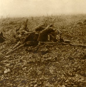 Dode soldaat op Hill 304, na de Slag om Verdun, Noord-Frankrijk, 1916 door Unbekannt