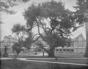 Del Monte, Monterey, Californië, ca. 1897