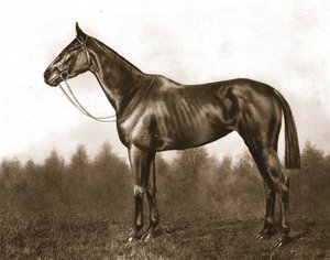 Verlegen, 1911 door Unbekannt