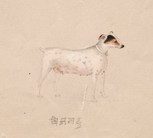 Hond, 1800s door Unbekannt