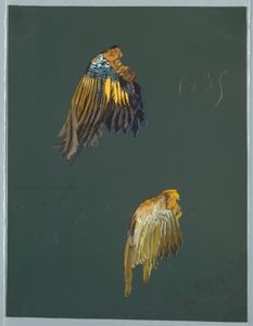 Tekening, uit Saint Germain - Deel 1 en 2 door Unbekannt