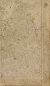 Tekening van dieren en planten, begin 17e eeuw