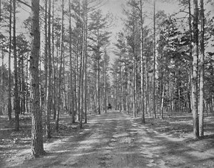 Rit in Piney Woods Park, Lakewood, New Jersey, ca. 1897 door Unbekannt