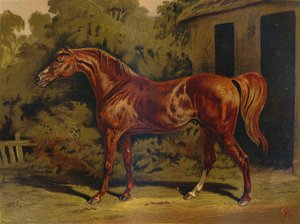 Eclips, ca. 1879