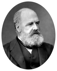 Edward Armitage, Britse schilder en professor en docent aan de Royal Academy, 1877 door Unbekannt