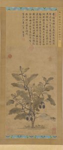 Aubergine, Ming-dynastie, 1368-1644 door Unbekannt