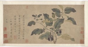 Aubergine, Yuan- of Ming-dynastie, 14e eeuw door Unbekannt
