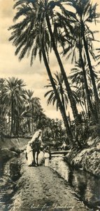 Egypte - Rust voor drinken, ca. 1918-ca. 1939