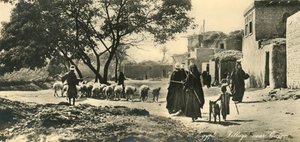 Egypte - Dorp nabij Caïro, ca. 1918-ca. 1939
