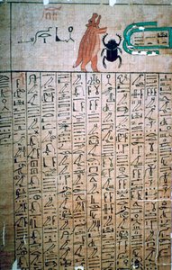 Egyptische hiërogliefen uit een Dodenboek