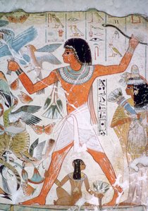 Egyptische muurschildering van vogelvangst