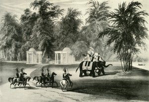 Olifanten en lijfwacht in Barrackpore Park, 1820, 1925 door Unbekannt