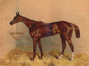 Embleem, Steeplechase Merrie, ca. 1879