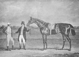 Euclides, tweede in de St. Leger, 1839, na een dead-heat met Charles XII, ca. 1839, 1911 door Unbekannt