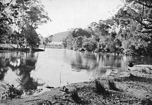 Avondschaduwen, Nationaal Park, c1900 door Unbekannt