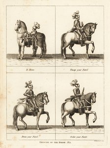 Oefening van het paard door Unbekannt