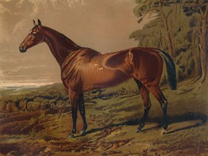 Fair Nell, ca. 1879