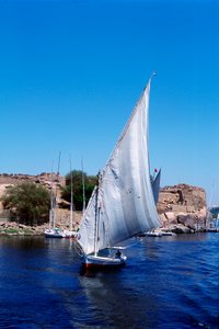 Felucca
