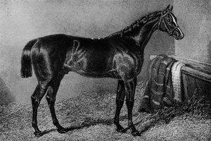 Filho Da Puta, 1812-1835, 1911 door Unbekannt