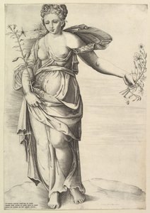 Flora door Unbekannt