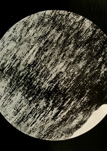 Fossiel hout in zandsteen, van een morene op breedtegraad 85° Zuid, ca. 1908 door Unbekannt