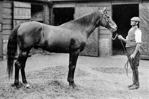 Foxhall, 1880-1904, 1911 door Unbekannt