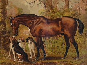 Vrijmetselaar - Favoriete jager van wijlen Hugo Meynell Ingram Esq., ca. 1879 door Unbekannt
