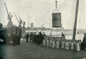 Franse melk gelost in Southampton, 1902