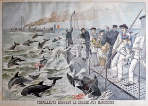 Franse torpedoboten jagen op bruinvissen, 1903