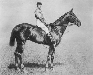 Galtee More, 1894-1917 door Unbekannt