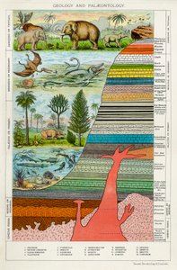Geologie en Paleontologie