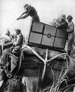 George V schiet tijgers, India