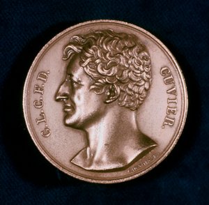 Georges Leopold Chretien Frederic Dagobert, Baron Cuvier, Franse anatoom, 19e eeuw door Unbekannt