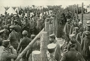 Duitse Gevangenen Betreden de Kooien, 1919 door Unbekannt