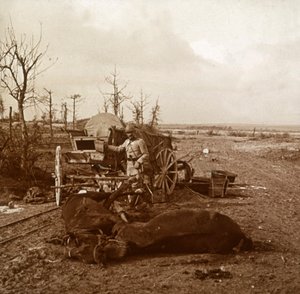 Duits paard-en-wagen, Tahure, Noord-Frankrijk, c1914-c1918 door Unbekannt