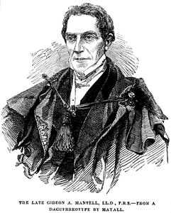 Gideon Algernon Mantell, Engelse geoloog, 1852 door Unbekannt