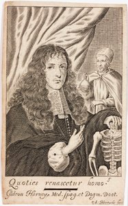 Gideon Harvey, Engelse arts door Unbekannt