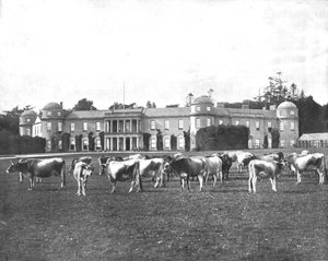 Goodwood, Hampshire, 1894 door Unbekannt