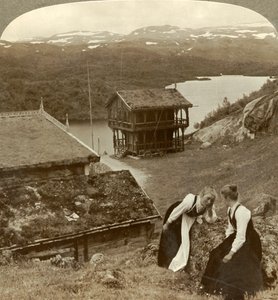 Roddelen bij een herberg langs de weg in Botten, met uitzicht op het Voxli-meer - uitzicht op de Haukeli-bergen, Noorwegen door Unbekannt