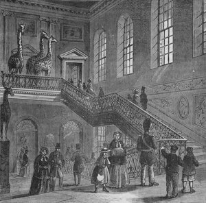 Grote trap van Montagu House, Bloomsbury, Londen, c1830 1878 door Unbekannt