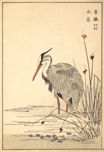 Grijze Reiger Aosagi en Mizu-aoi Plant door Unbekannt