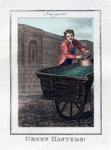 Green Hasteds, Newgate, Londen, 1805
