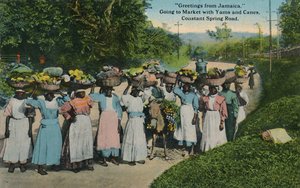 Groeten uit Jamaica. Naar de markt met yams en suikerriet. Constant Spring Road, 1913 door Unbekannt