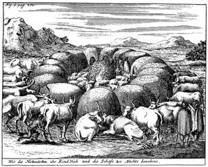 Schapen en vee bewaken 