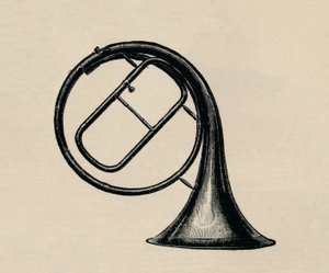Handhoorn, 1895